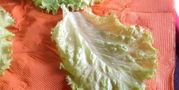 чикенбургер