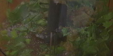 рыбный гамбургер с манго-майонезом