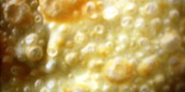 чебуреки по госту