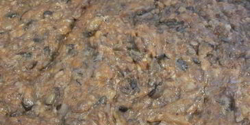 икра грибная