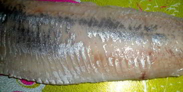 канапе чернушки