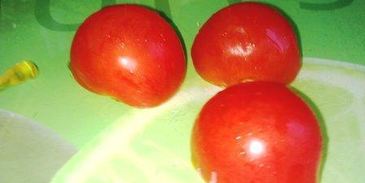 канапе паруса