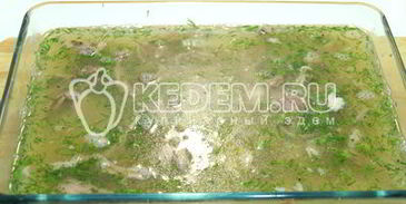 холодец из свиной рульки