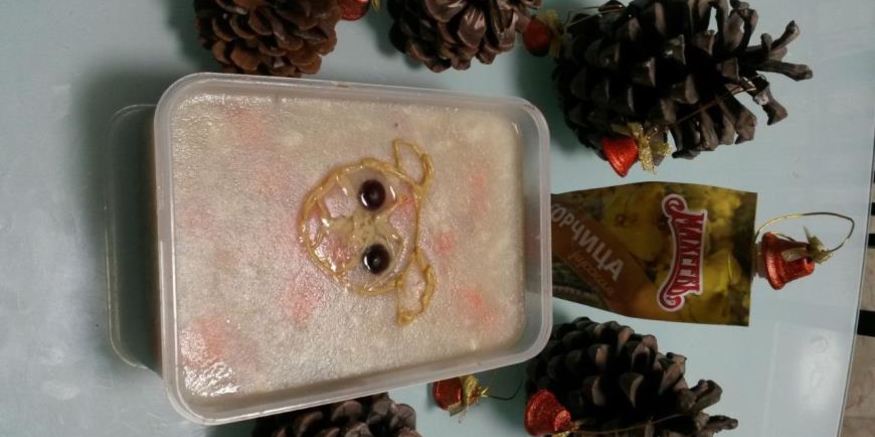 Рецепт новогоднего холодца