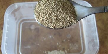 булочки для хот догов