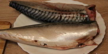 маринованная скумбрия с луком суточная