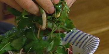 омлет санчо пансы