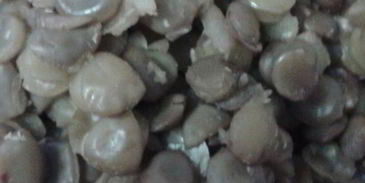 паштет из чечевицы с кешью и черносливом