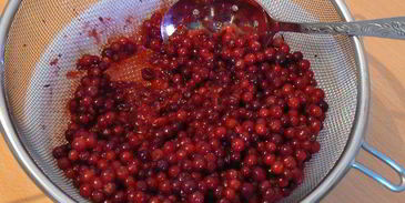 паштет из куриной печени с брусничным желе