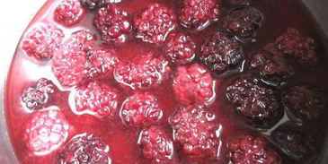 паштет из куриной печени в ежевичном желе