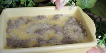 паштет из свиной печени с черносливом