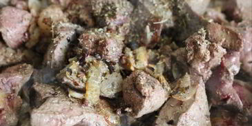 паштет из свиной печени с черносливом