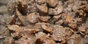 печеночный паштет со смородиновым желе