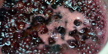 печеночный паштет со смородиновым желе