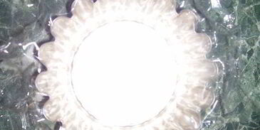 желированный паштет с сыром