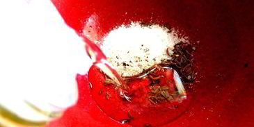 маринованные роллы из молодых кабачков