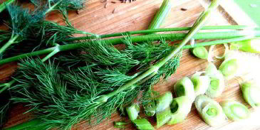 маринованные роллы из молодых кабачков