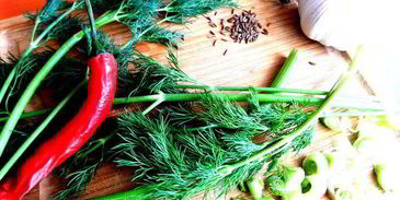 маринованные роллы из молодых кабачков