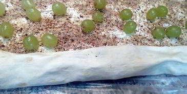 роллы из лаваша