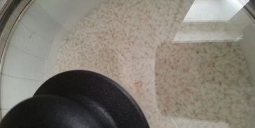 роллы разбитое сердце самурая