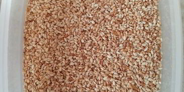 роллы разбитое сердце самурая