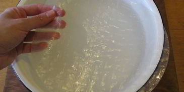 спринг-роллы с курицей, грибами и сливочным сыром