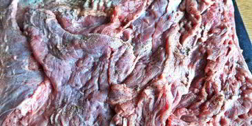 рулет из говядины с овощами в мультиварке