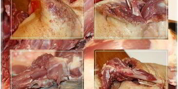 рулет с яблоками и черносливом