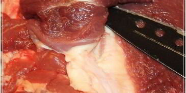 рулет с яблоками и черносливом