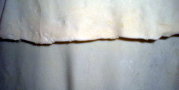 самса узбекская