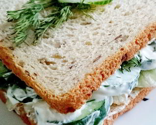 Свежий сэндвич с зеленью и огурцом