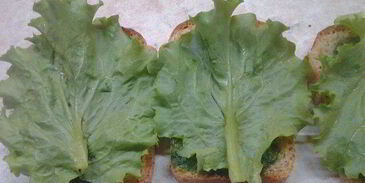 сэндвичи дорожные