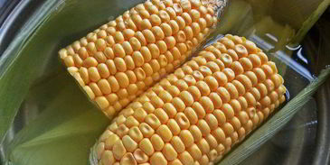 сэндвичи из баклажанов