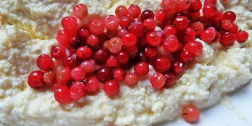 сырники сэндвичи