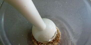 абрикосовая тарталетка