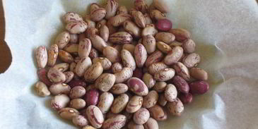 тарталетки с овощами и йогуртовой заливкой