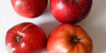 тарталетки с яблоками, орехами и крем-фрешем