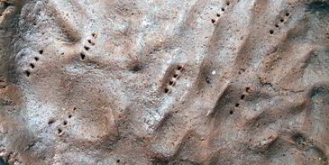 шоколадный тарт