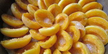 тарт абрикосовый