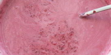 тарт брусничный с яблоками