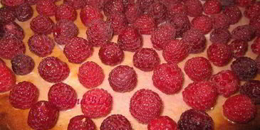 тарт малиновый