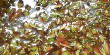 тарт с ежевикой, ревенем и руколой