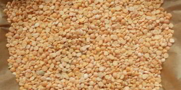 тарт с ежевикой, ревенем и руколой