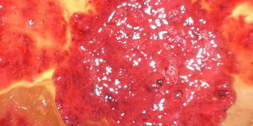 тарт с клюквенно-яблочной начинкой