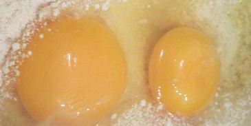 тарт творожно-ванильный