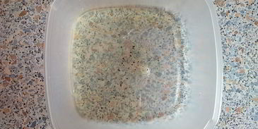 яичница на облаке