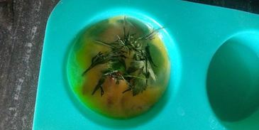 яичница в микроволновке