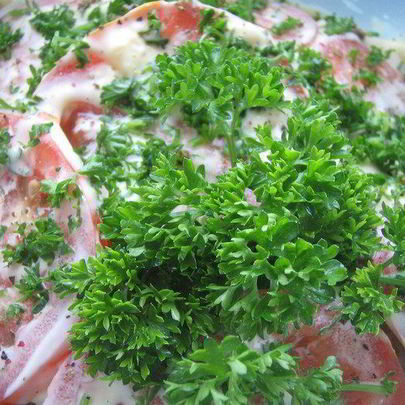 Закуска из баклажанов и помидоров