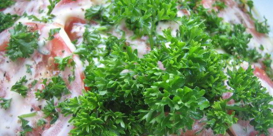 Рецепт закуски из баклажанов и помидоров