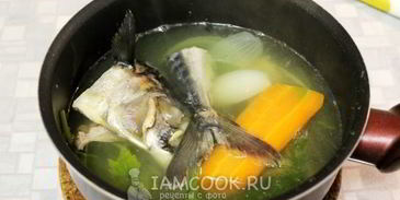 заливное из скумбрии